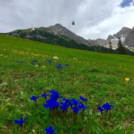 Relax Seefeld דירה *