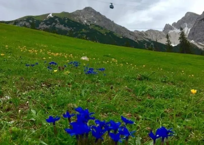 Relax Seefeld Apartment *